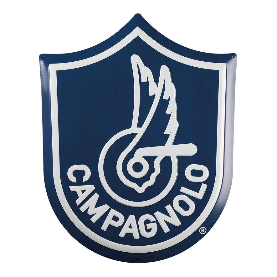 SHIELD PLATE, BLUE, hi-res-1